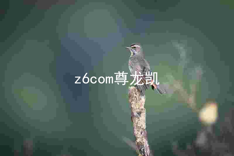 z6com尊龙凯