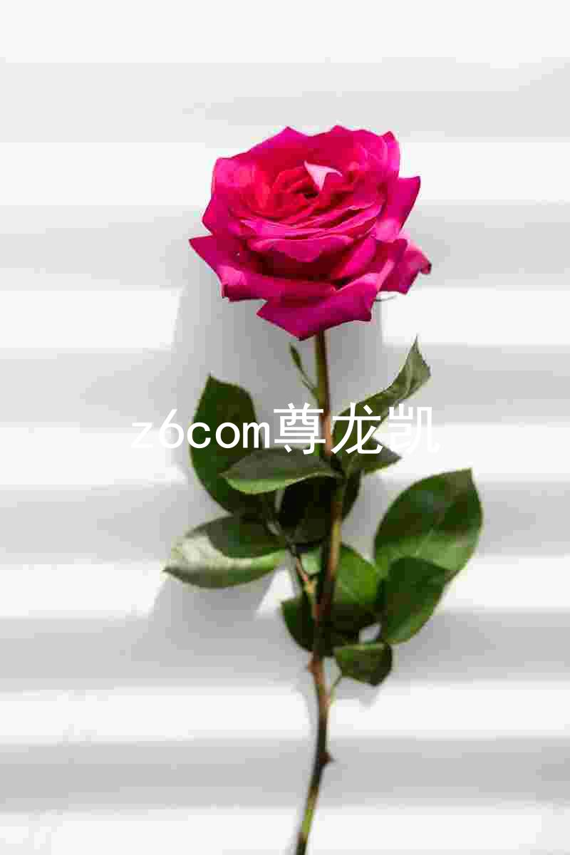 z6com尊龙凯