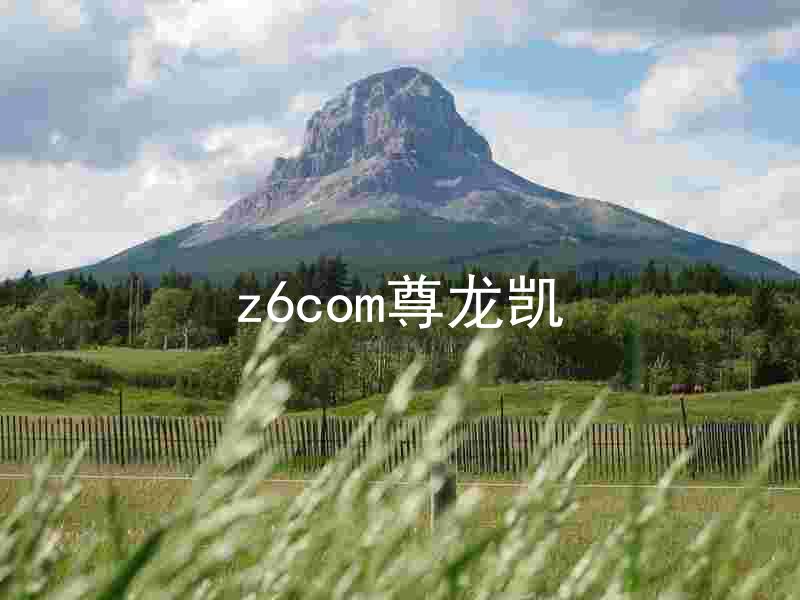 z6com尊龙凯