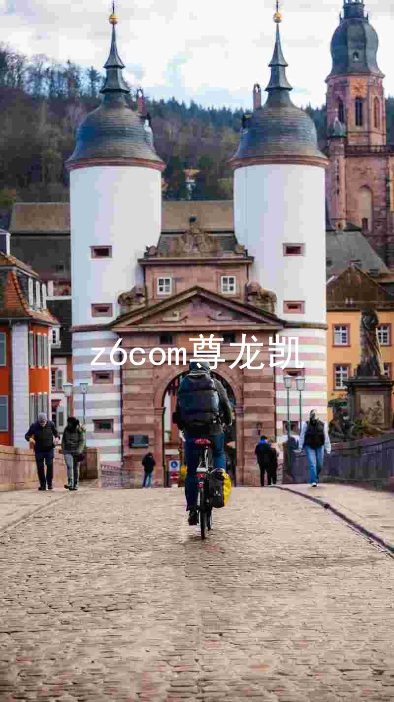 z6com尊龙凯
