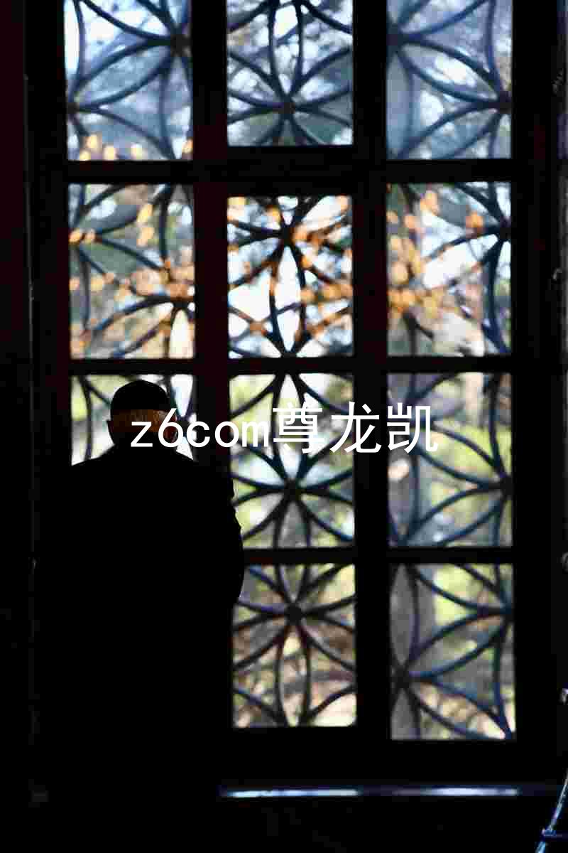 z6com尊龙凯