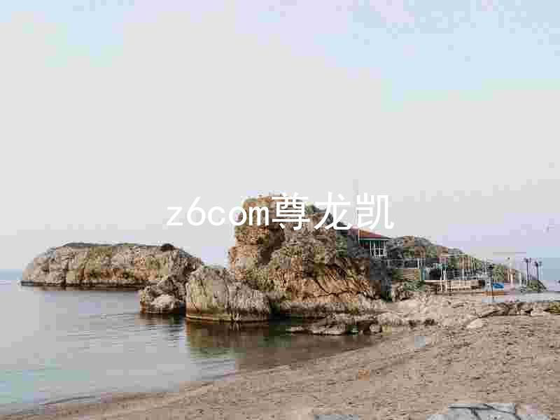z6com尊龙凯