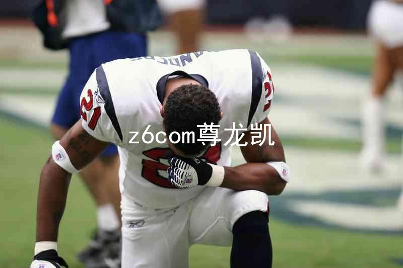 z6com尊龙凯
