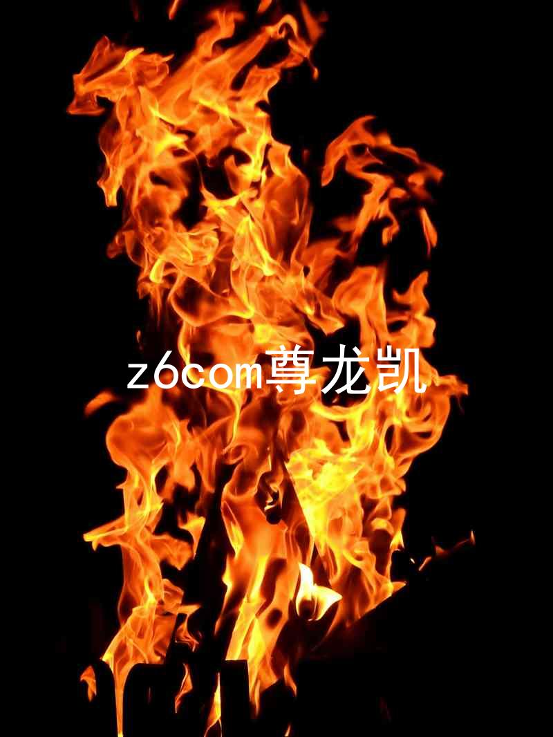 z6com尊龙凯