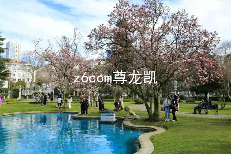 z6com尊龙凯